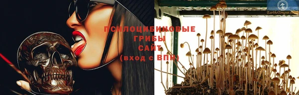 индика Красноперекопск