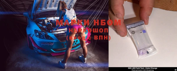 прущие грибы Куйбышев
