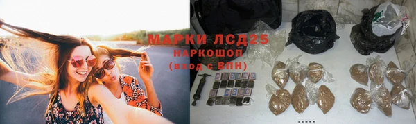 a pvp Кулебаки