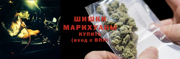 прущие грибы Куйбышев