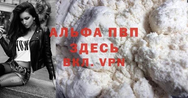 прущие грибы Куйбышев