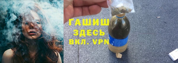 индика Красноперекопск