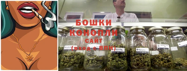 прущие грибы Куйбышев